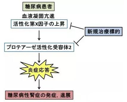 赴日就醫(yī)，厚樸方舟