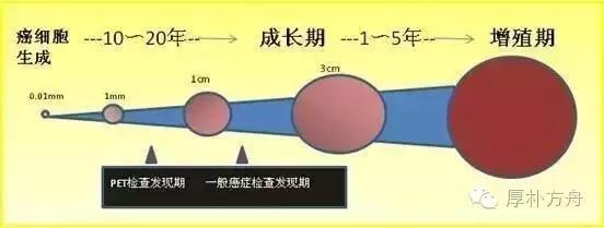 日本體檢