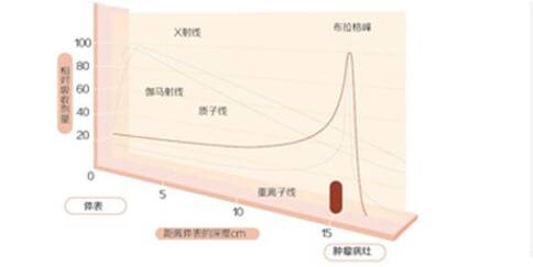 日本質(zhì)子治療