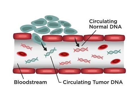 游離DNA