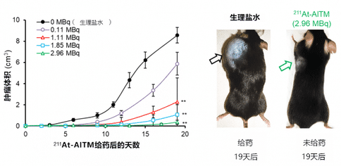 出國看?。喝毡狙邪l(fā)出治療惡性黑色素瘤的新方法！