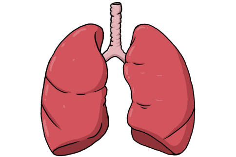 癌癥出國治療:臨床試驗證實新型的組合治療方法對于肺癌治療具有重要作用