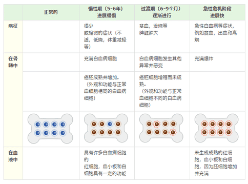 什么是慢性骨髓性白血病?日本如何治療慢性骨髓性白血病?