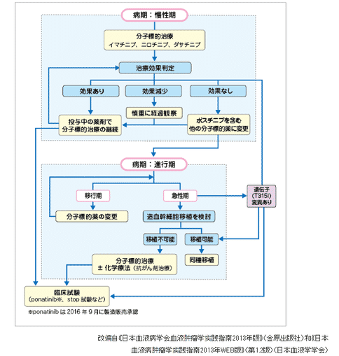 日本是如何治療慢性髓性白血病的?