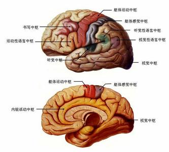 室管膜瘤的類型和治療方法