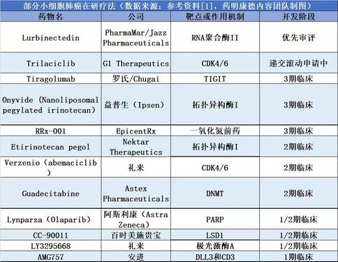 小細(xì)胞肺癌治療方法