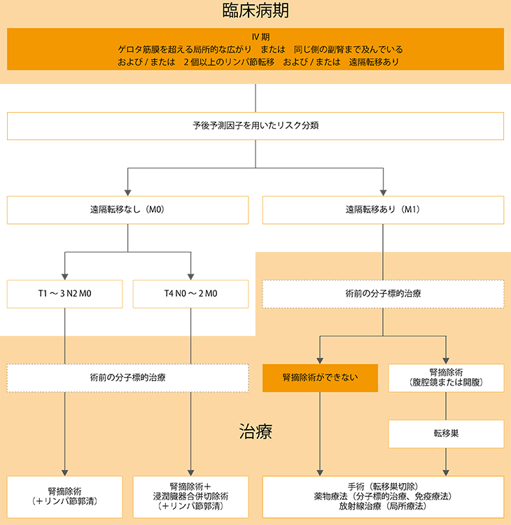 腎癌晚期治療方案