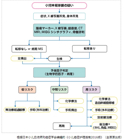 兒童神經母細胞瘤治療