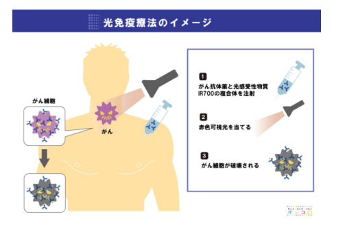 光免疫治療方法方法