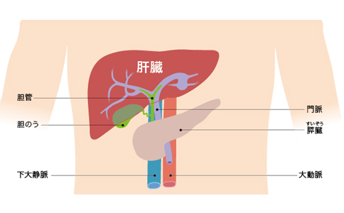 日本肝癌醫(yī)院