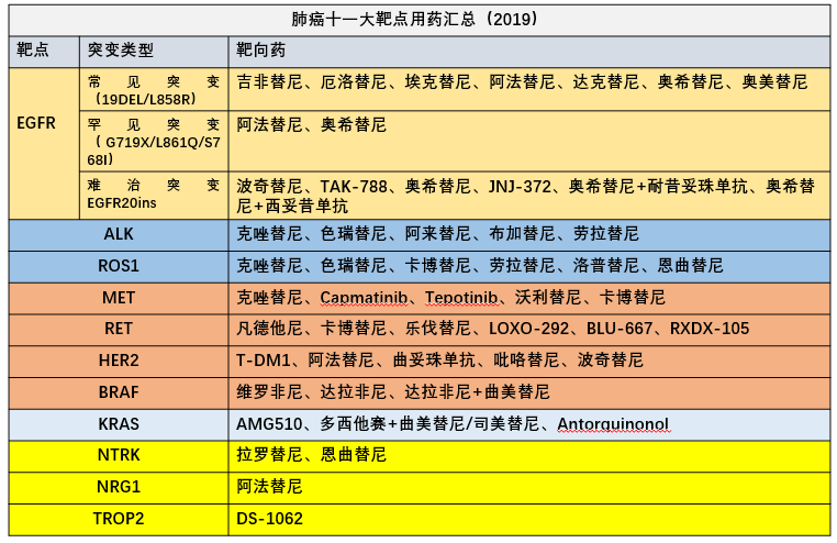 日本肺癌晚期治療