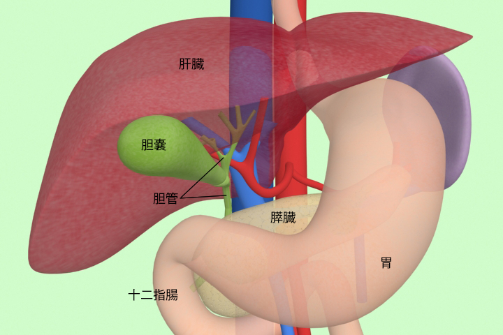 日本膽囊癌治療方法