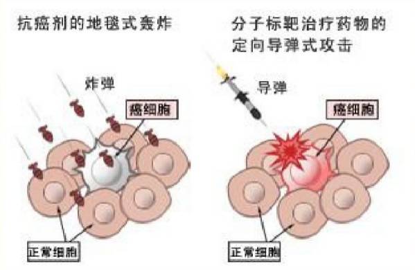 靶向治療