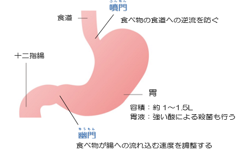 日本胃癌治療