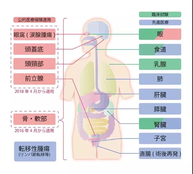 日本重離子治療醫(yī)院