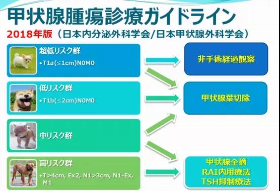 甲狀腺癌治療