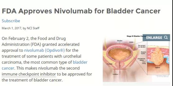 膀胱癌免疫治療