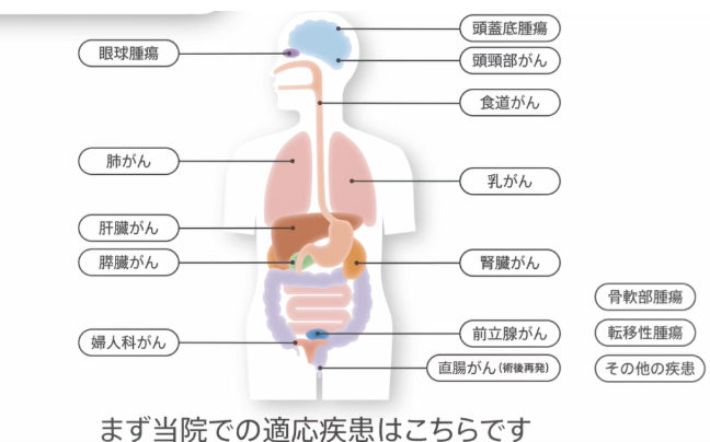 日本看病質(zhì)子重離子