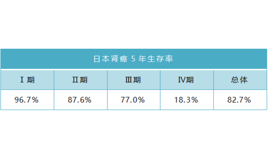 日本腎癌治療