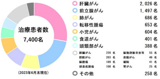 日本質(zhì)子重離子醫(yī)院治療費(fèi)用