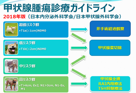 甲狀腺癌日本看病效果好嗎-甲狀腺癌海外治療方案介紹