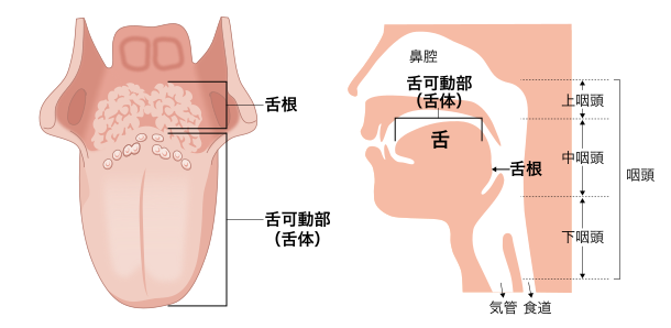 日本治療口腔癌