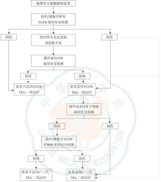 中國醫(yī)學(xué)會配圖